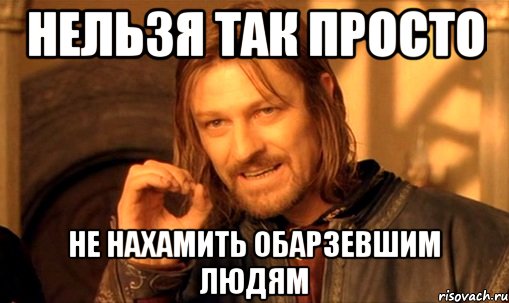 нельзя так просто не нахамить обарзевшим людям, Мем Нельзя просто так взять и (Боромир мем)