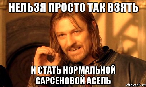 нельзя просто так взять и стать нормальной Сарсеновой Асель, Мем Нельзя просто так взять и (Боромир мем)