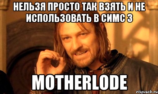 Нельзя просто так взять и не использовать в Симс 3 Motherlode, Мем Нельзя просто так взять и (Боромир мем)