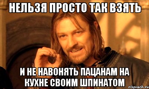 Нельзя просто так взять И не навонять пацанам на кухне своим ШПИНАТОМ, Мем Нельзя просто так взять и (Боромир мем)