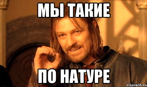 Мы такие По натуре, Мем Нельзя просто так взять и (Боромир мем)