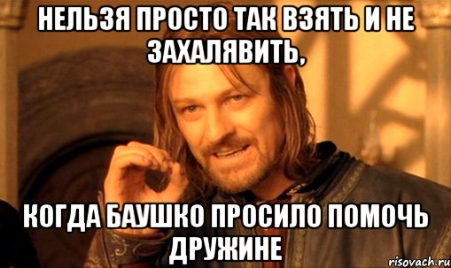 нельзя просто так взять и не захалявить, когда баушко просило помочь дружине, Мем Нельзя просто так взять и (Боромир мем)