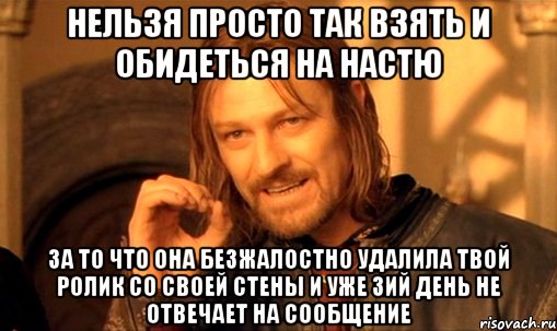 Нельзя просто так взять и обидеться на Настю за то что она безжалостно удалила твой ролик со своей стены и уже 3ий день не отвечает на сообщение, Мем Нельзя просто так взять и (Боромир мем)