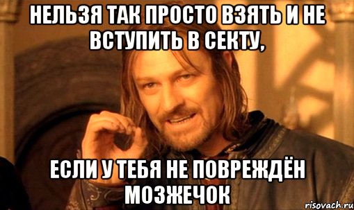 нельзя так просто взять и не вступить в секту, если у тебя не повреждён мозжечок, Мем Нельзя просто так взять и (Боромир мем)