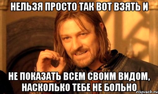 нельзя просто так вот взять и не показать всем своим видом, насколько тебе не больно, Мем Нельзя просто так взять и (Боромир мем)