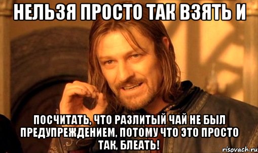 Нельзя просто так взять и посчитать, что разлитый чай не был предупреждением, потому что это просто так, блеать!, Мем Нельзя просто так взять и (Боромир мем)