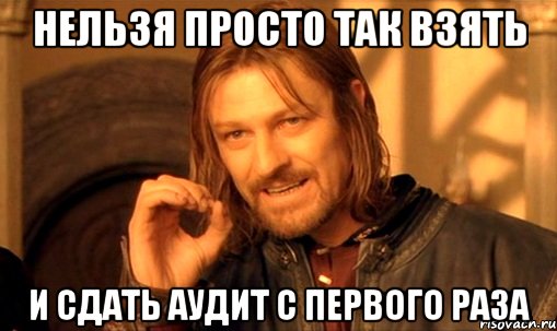 Нельзя просто так взять и сдать аудит с первого раза, Мем Нельзя просто так взять и (Боромир мем)