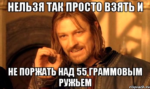 НЕЛЬЗЯ ТАК ПРОСТО ВЗЯТЬ И НЕ ПОРЖАТЬ НАД 55 ГРАММОВЫМ РУЖЬЕМ, Мем Нельзя просто так взять и (Боромир мем)