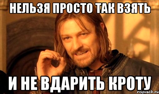 Нельзя просто так взять И не вдарить кроту, Мем Нельзя просто так взять и (Боромир мем)