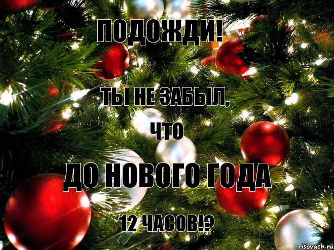 ПОДОЖДИ! Ты не забыл, что до нового года 12 часов!?