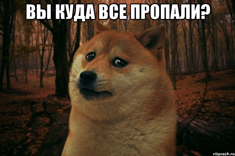 ВЫ КУДА ВСЕ ПРОПАЛИ? 