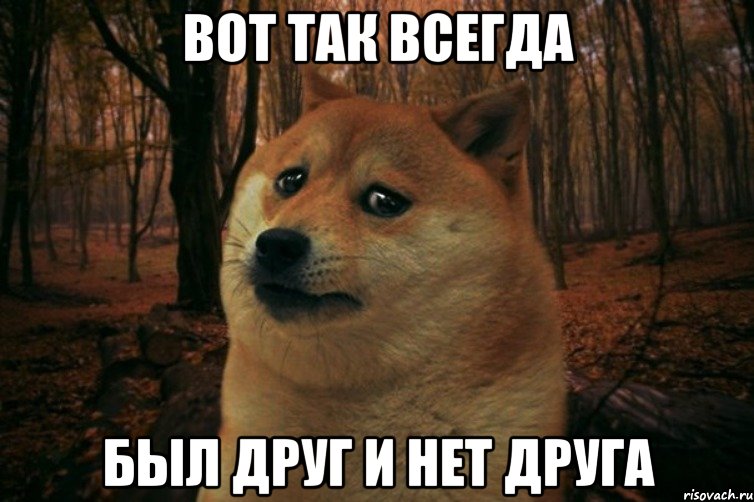 вот так всегда был друг и нет друга