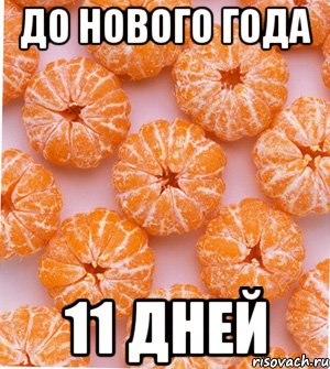 До нового года 11 Дней, Мем  НОВОГОДНИЕ СЕМКИ