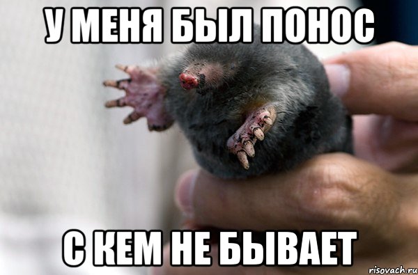 у меня был понос с кем не бывает, Мем Ну бывает