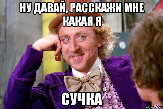 ну давай, расскажи мне какая я сучка, Мем Ну давай расскажи (Вилли Вонка)