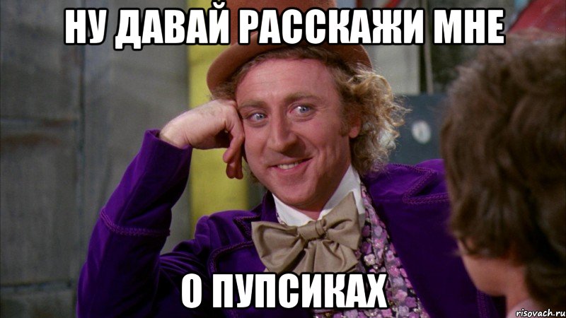 Ну давай расскажи мне О ПУПСИКАХ, Мем Ну давай расскажи (Вилли Вонка)