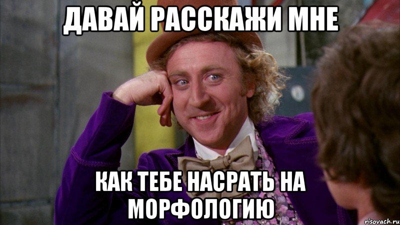 давай расскажи мне как тебе насрать на морфологию, Мем Ну давай расскажи (Вилли Вонка)