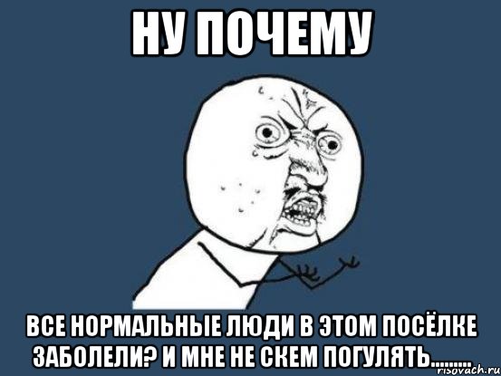 Ну почему все нормальные люди в этом посёлке заболели? И мне не скем ПОГУЛЯТЬ........., Мем Ну почему