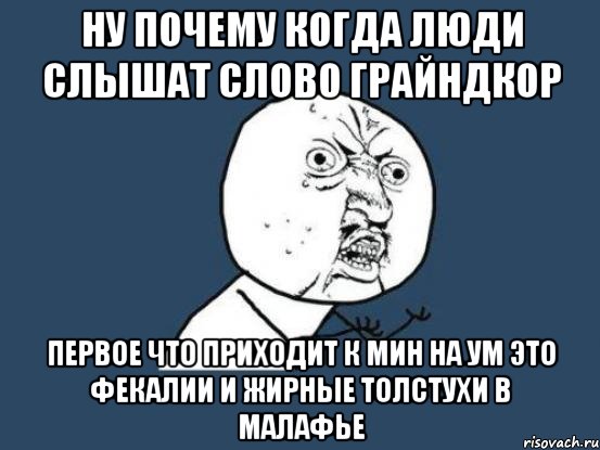 ну почему когда люди слышат слово грайндкор первое что приходит к мин на ум это фекалии и жирные толстухи в малафье, Мем Ну почему