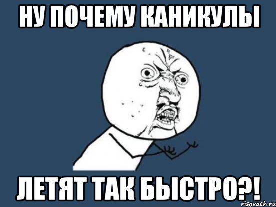 Ну почему каникулы Летят так быстро?!, Мем Ну почему