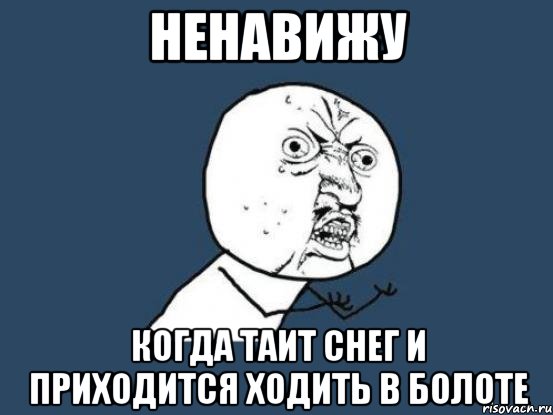 ненавижу когда таит снег и приходится ходить в болоте, Мем Ну почему