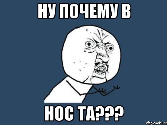 НУ ПОЧЕМУ В НОС ТА???, Мем Ну почему