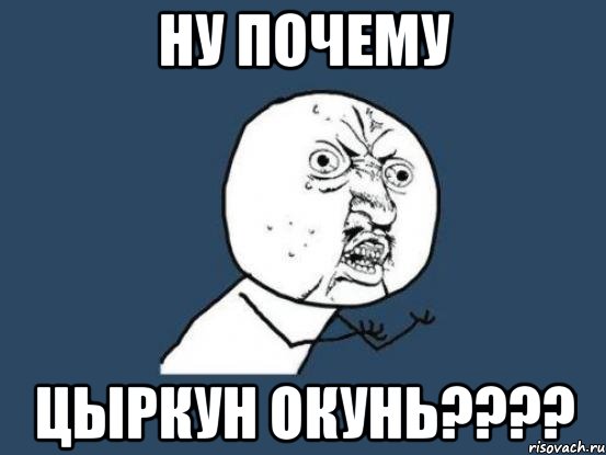 Ну почему Цыркун окунь????, Мем Ну почему