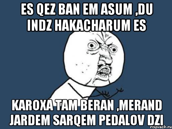 Es qez ban em asum ,Du indz hakacharum es Karoxa tam beran ,merand jardem sarqem pedalov dzi, Мем Ну почему