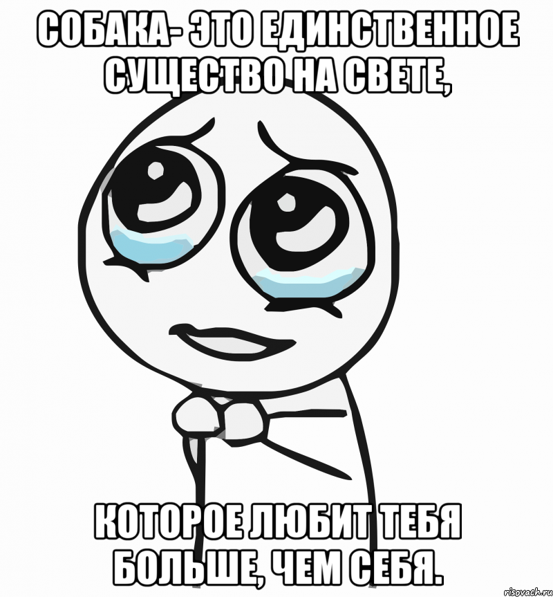 Собака- это единственное существо на свете, которое любит тебя больше, чем себя., Мем  ну пожалуйста (please)