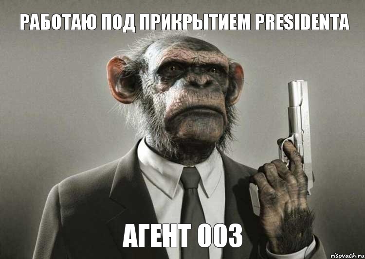 работаю под прикрытием Presidentа агент 003