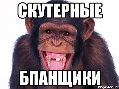 скутерные БПАНщики