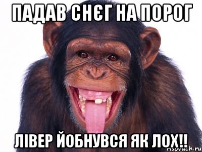 падав снєг на порог лівер йобнувся як лох!!