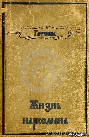 Гатчина Жизнь наркомана, Комикс обложка книги