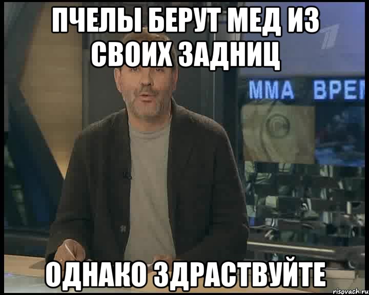 пчелы берут мед из своих задниц однако здраствуйте, Мем Однако Здравствуйте