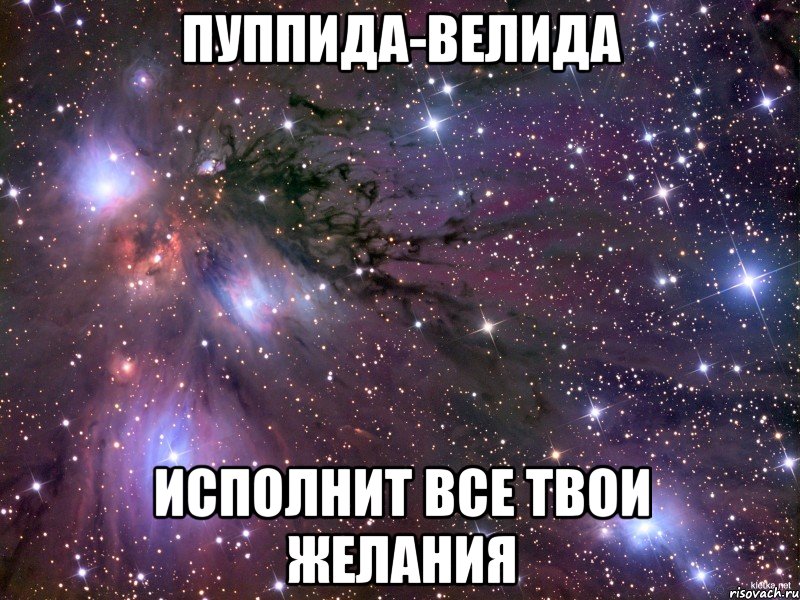 пуппида-велида исполнит все твои желания, Мем Космос