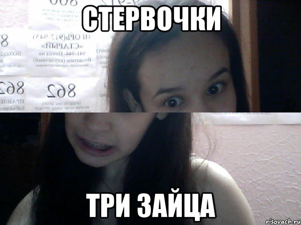 стервочки три зайца