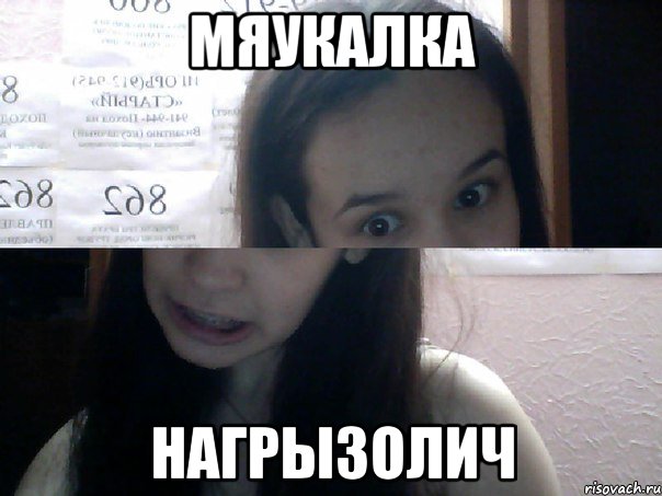 мяукалка нагрызолич