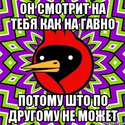 Он смотрит на тебя как на гавно Потому што по другому не может, Мем Омская птица