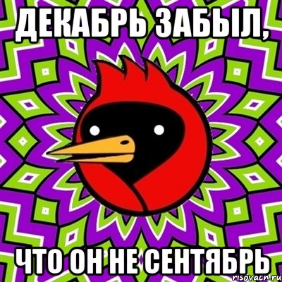 Декабрь забыл, Что он не сентябрь, Мем Омская птица