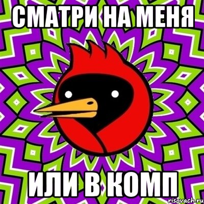 СМАТРИ НА МЕНЯ ИЛИ В КОМП, Мем Омская птица