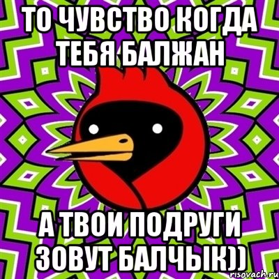 То чувство когда тебя Балжан А твои подруги зовут Балчык)), Мем Омская птица