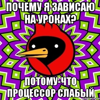 Почему я зависаю на уроках? Потому-что процессор слабый, Мем Омская птица