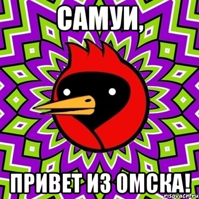 Самуи, привет из Омска!, Мем Омская птица