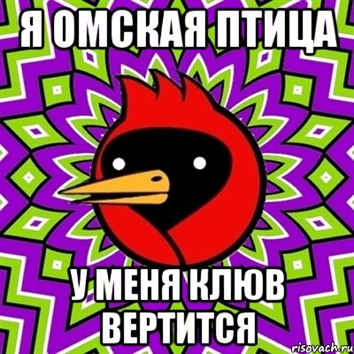 Я омская птица У меня клюв вертИтся, Мем Омская птица