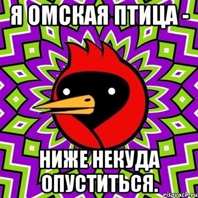 Я омская птица - Ниже некуда опуститься., Мем Омская птица