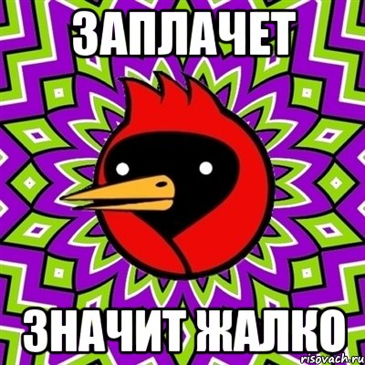 заплачет значит жалко, Мем Омская птица