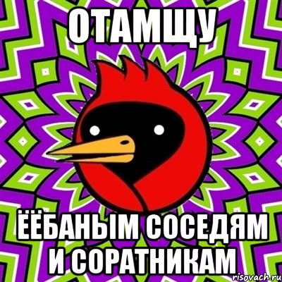 отамщу ёёбаным соседям и соратникам, Мем Омская птица