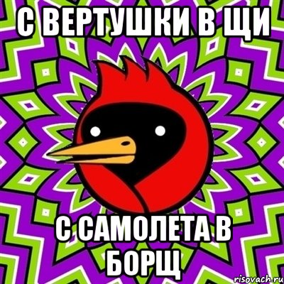 С вертушки в щи С самолета в борщ, Мем Омская птица