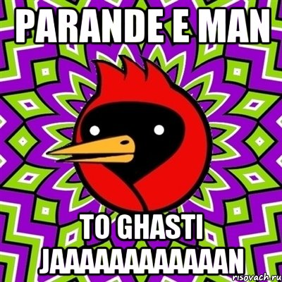parande e man to ghasti jaaaaaaaaaaaan, Мем Омская птица