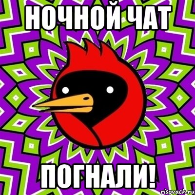 ночной чат погнали!, Мем Омская птица